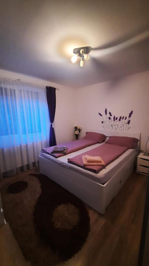 “Home Sweet Home” Sîntandrei Exteriér fotografie